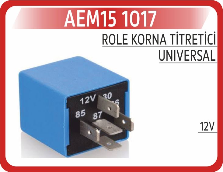 ROLE KORNA TİTRETİCİ 12V — AEM